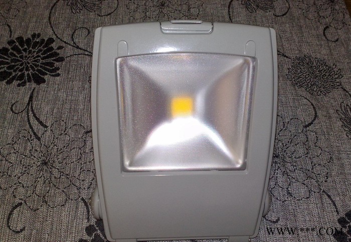 LED集成投光灯50W 户外广告招牌照明 深圳直销过CE R图2