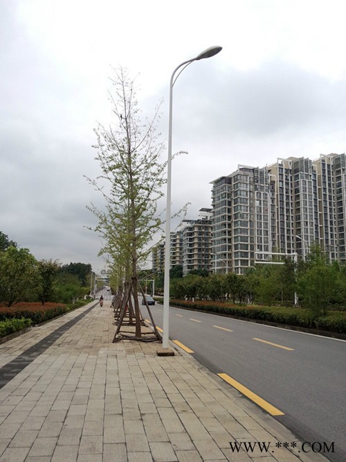 弘耀照明  道路灯系列   道路灯生产厂家图4