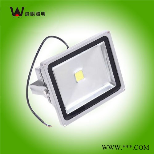 供应蛙眼照明10W深圳LED灯具10W投光灯图1
