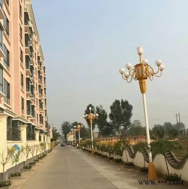 常州FNZH/伍玖照明FNZH专业中华灯 LED中华灯 道路灯 城市亮化路灯 道路亮化路灯 市政路灯图2