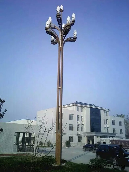 常州FNZH/伍玖照明FNZH专业玉兰灯  组合灯 中华灯 道路灯 LED道路路灯 专业玉兰灯 银川路灯厂家 **全国图2