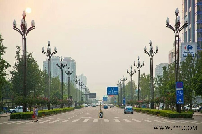 常州FNZH/伍玖照明FNZH专业玉兰灯  组合灯 中华灯 道路灯 LED道路路灯 专业玉兰灯 银川路灯厂家 **全国图1