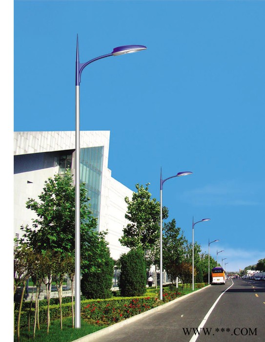 城市路灯  LED路灯厂家  供应宏野  路灯工程  街道路灯   农村路灯图4