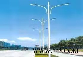 城市路灯  LED路灯厂家  供应宏野  路灯工程  街道路灯   农村路灯图8