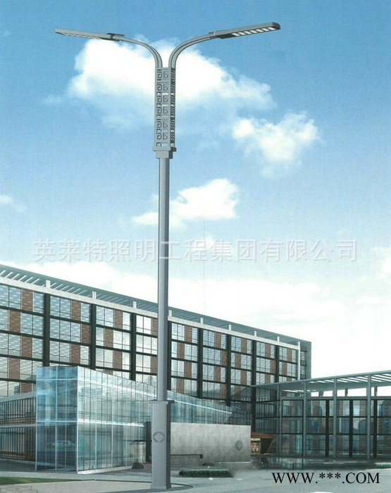 英莱特LDLED-02901 LED道路灯 LED路灯 节能环保LED路灯图3