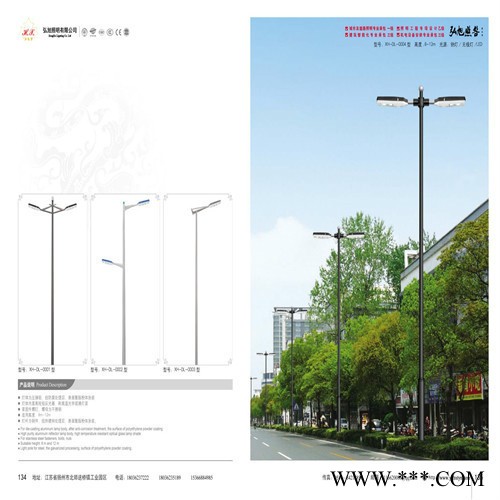 弘旭各种道路灯6米灯杆  30WLED灯具 各种道路灯图2