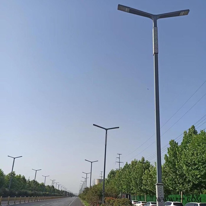 路灯杆 路灯杆批发 【晨轩照明】供应小区路灯杆 道路灯杆 LED路灯杆 市电路灯杆 路灯灯杆图6