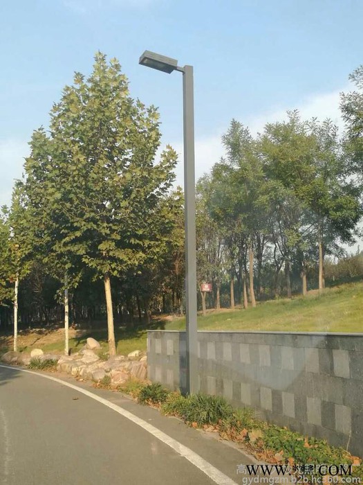 供应LED路灯 户外道路灯灯杆 250瓦金卤灯灯具配件 6米太阳能路灯图1