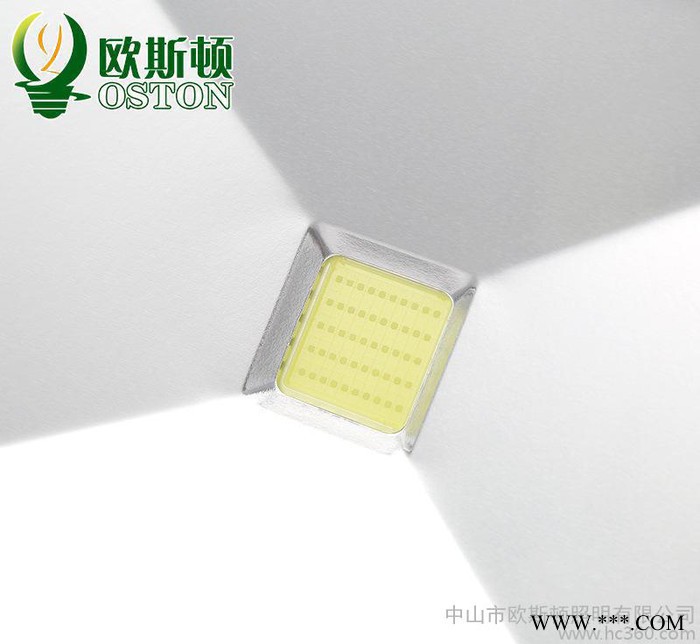 LED投光灯30W50W70W100W照树灯 背景投射灯 泛