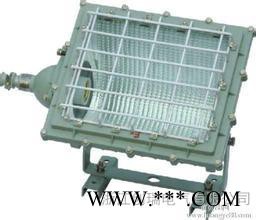 防爆一体式泛光灯,防爆投光灯BAT51-25-400w图2
