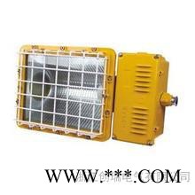 防爆一体式泛光灯,防爆投光灯BAT51-25-400w图3