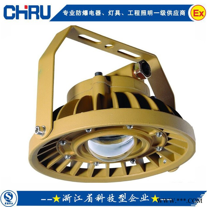 创瑞CRD8104-A防爆免维护LED照明灯 化工厂led防爆灯 垃圾发电厂led防爆灯 防爆投光灯图1