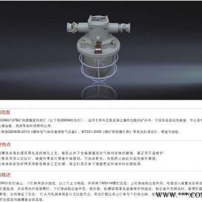 供应矿用隔爆型白炽灯