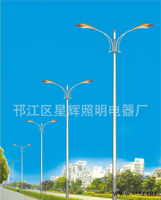 太阳能路灯,生产道路灯,规格道路灯,长期生产各种规格道路灯，图3