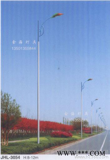 供应金海JHLD-3053道路灯图2