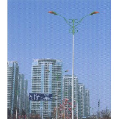 供应金海JHLD-3053道路灯