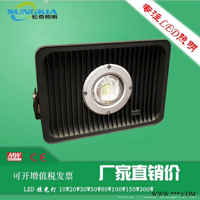 SK**户外投光灯 TG-F3-70W 70W太阳花灯生产厂家图3