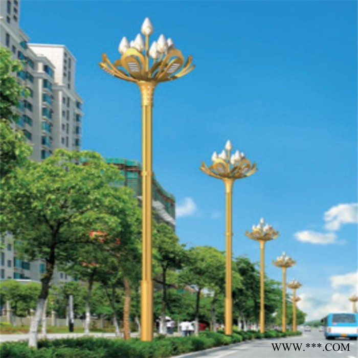 定制LED中华玉兰灯 6米15米市电照明路灯 户外广场公园道路灯 厂家直供 规格种类多图3