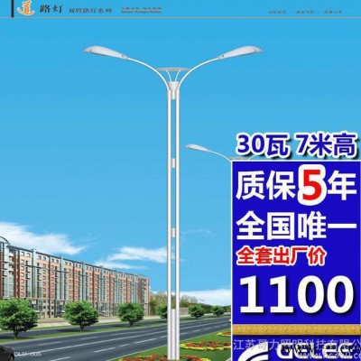 30W道路灯 led道路灯灯杆 质保5年  直销