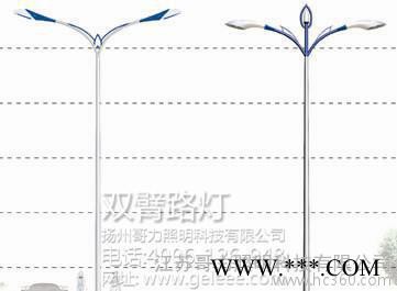 30W道路灯 led道路灯灯杆 质保5年  直销图3