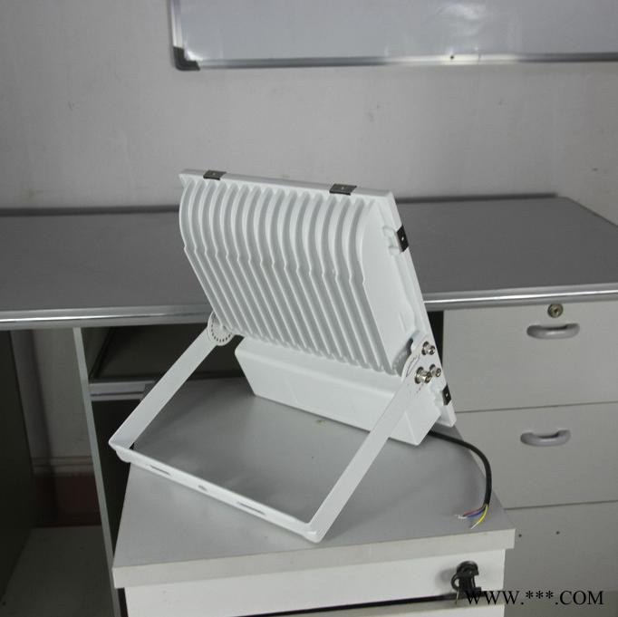 DongDaHua大功率投光灯足功率投射灯ZS-SMD-100-NA高杆灯运动场馆灯户外防水照明灯100W广告户外灯图5