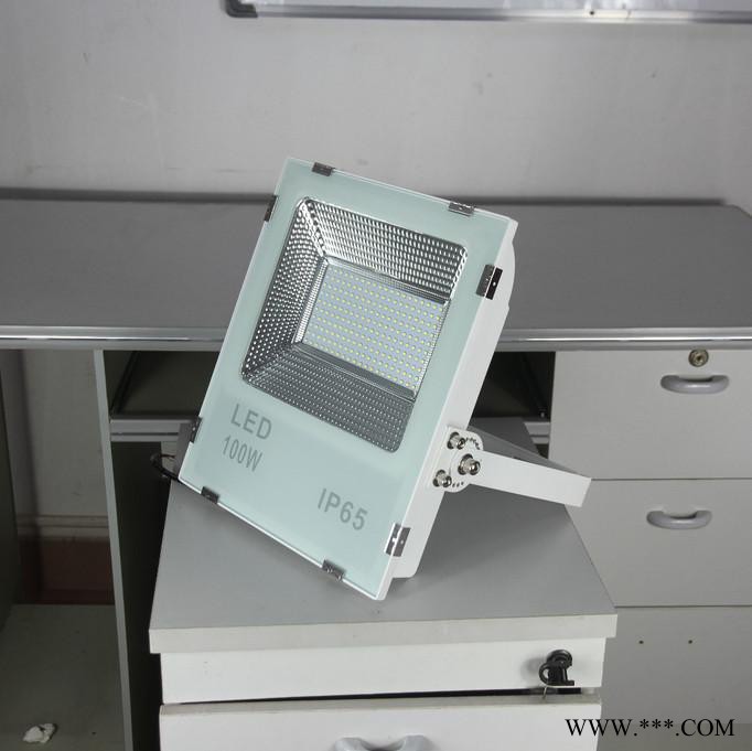 DongDaHua大功率投光灯足功率投射灯ZS-SMD-100-NA高杆灯运动场馆灯户外防水照明灯100W广告户外灯图2