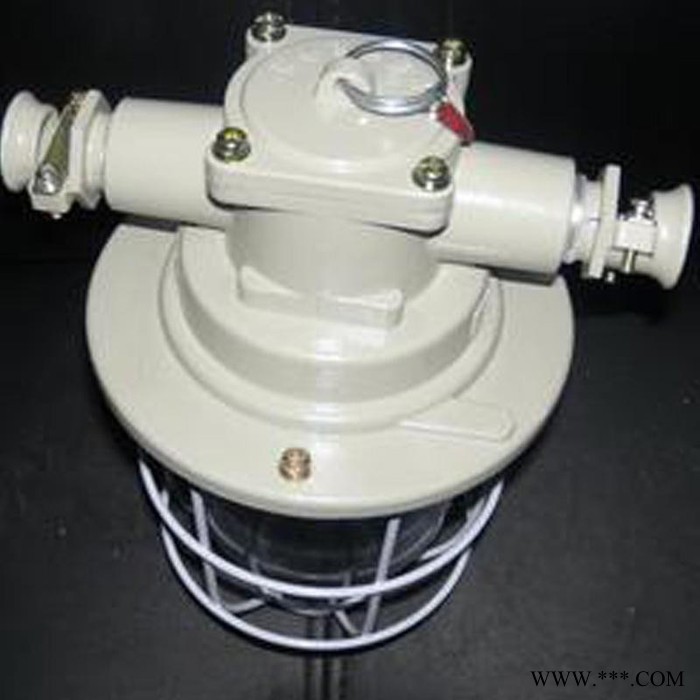 供应DGS60/127B矿用隔爆型防爆白炽灯质量优良，供应DGS60/127B矿用隔爆型防爆白炽灯**图6