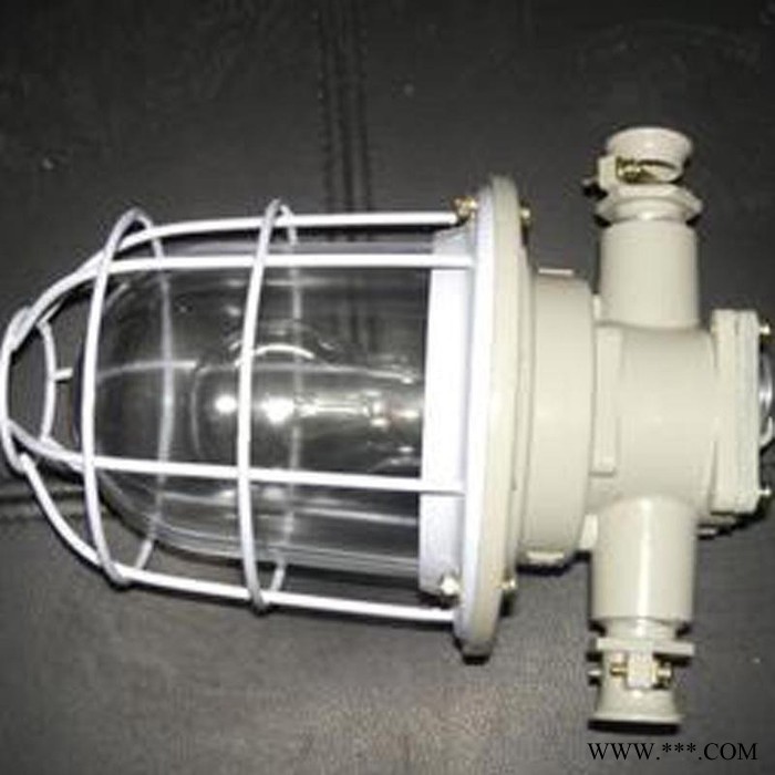 供应DGS60/127B矿用隔爆型防爆白炽灯质量优良，供应DGS60/127B矿用隔爆型防爆白炽灯**图8