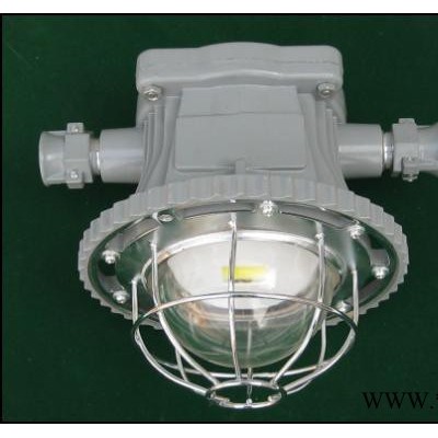 DGS60/127矿用防爆白炽灯