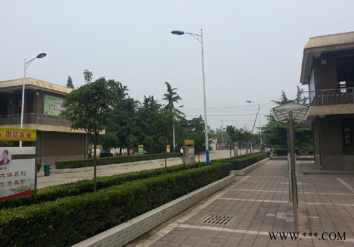 卓众  CLD-1道路灯