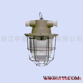 供应中普防爆DBP-100W(60)防爆白炽灯图1