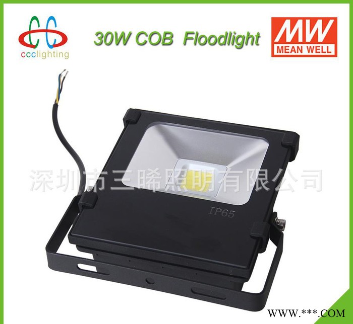 大功率LED泛光灯 30W UL认证 LED投光灯 广场灯户外灯 防水 IP65图1
