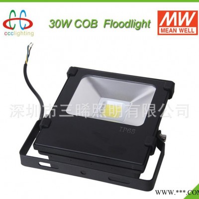 大功率LED泛光灯 30W UL认证 LED投光灯 广场灯户外灯 防水 IP65