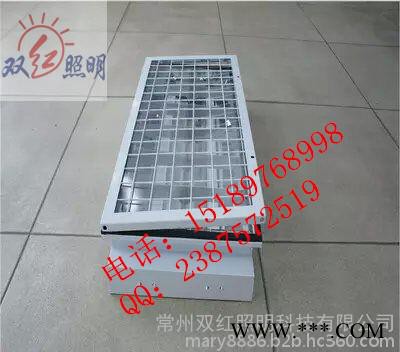 600*300防爆格栅灯 2*20W防爆格栅荧光灯_ 防爆格栅灯图2