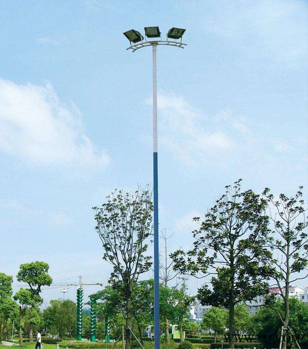 高速公路交通道路灯8米300w路灯户外灯 led路灯图3