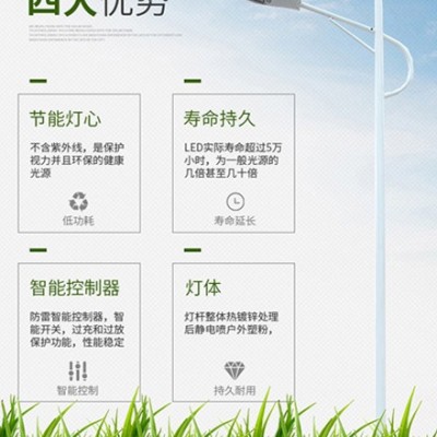 路灯7米户外灯新农村超亮LED高杆乡村道路灯防水路灯杆
