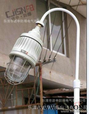 马路灯 BCM 防爆马路灯 防爆道路灯 防爆马路灯图3