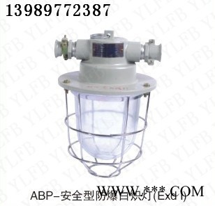 供应耀雷防爆ABP-安全型防爆白炽灯ABP-安全型防爆白炽灯