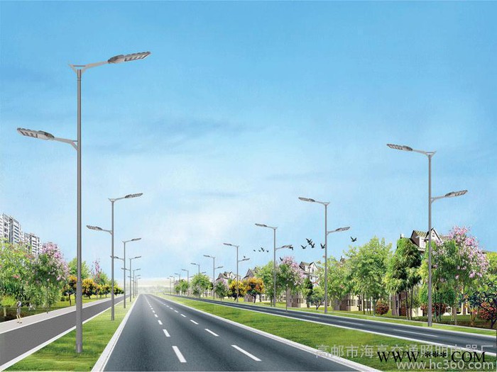照明路灯 道路灯 厂家专业生产各种路灯 景观 庭院灯图2