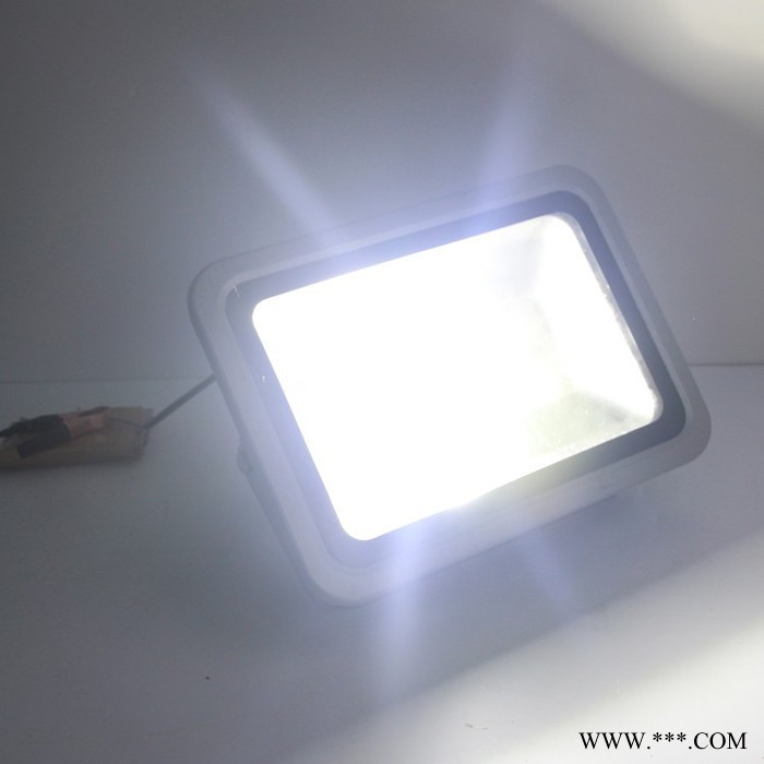 led投光灯三防灯户外草坪绿化灯桥梁灯广场灯广告标牌灯球场灯图1