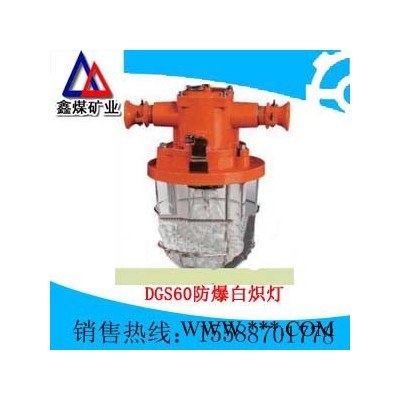 DGS60DGS60防爆白炽灯