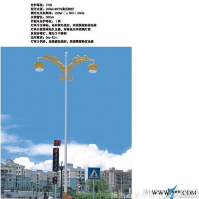 1128光宇亮化道路灯 楼宇亮化路灯 建设路灯