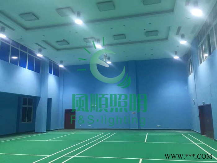 风顺照明FS-LT0326网球场馆LED灯光设备网球场照明系统 LED投光灯图2