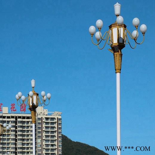 定制加工中华灯 8~15米组合灯 八叉九火LED玉兰灯 广场景观道路灯 专业厂家 品质可靠图3
