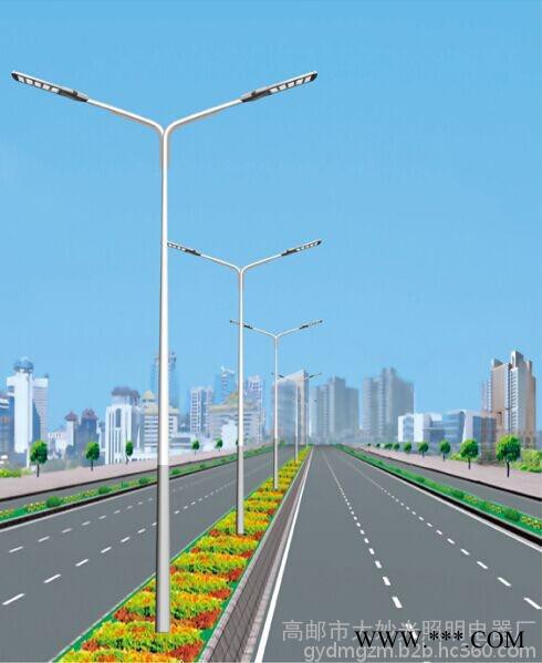 大妙光M-145道路照明灯 路灯灯杆双臂6-12米 光源钠灯金卤灯LED 道路灯 街灯 高杆路灯杆图7