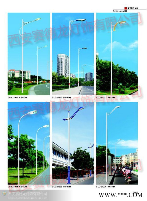 供应赛德龙8米道路灯系列图2