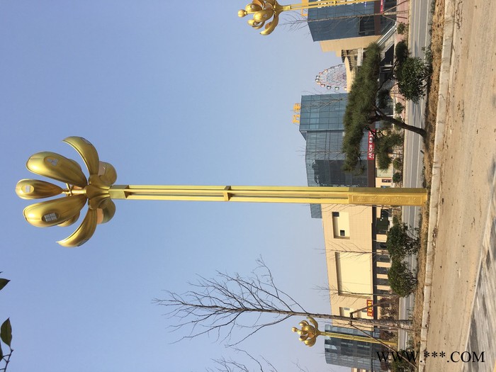 河南天能照明tn 道路灯