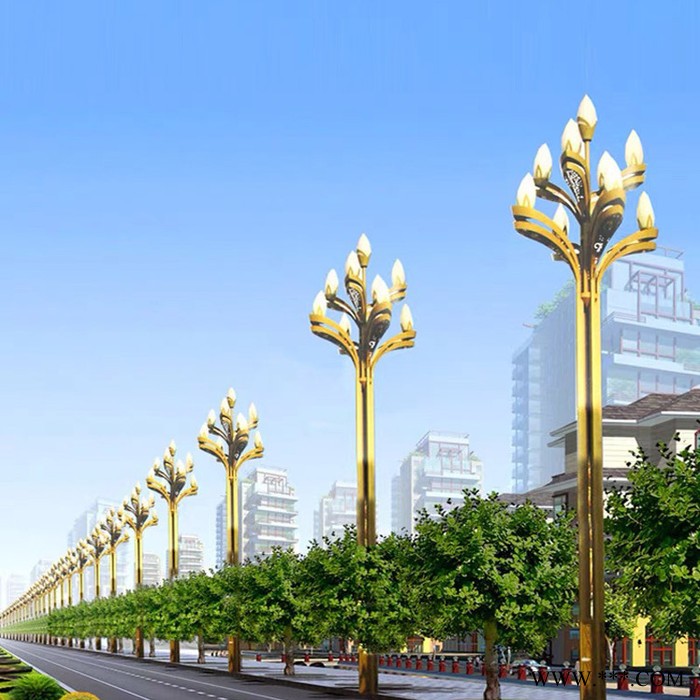 景观灯庭院灯6m中华灯广场灯led超亮中式道路灯图2