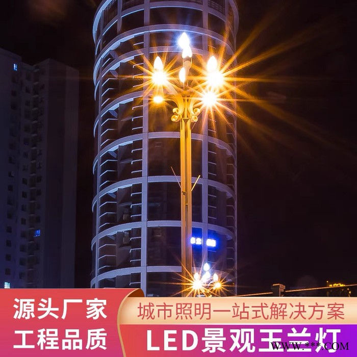 景观灯庭院灯6m中华灯广场灯led超亮中式道路灯图1