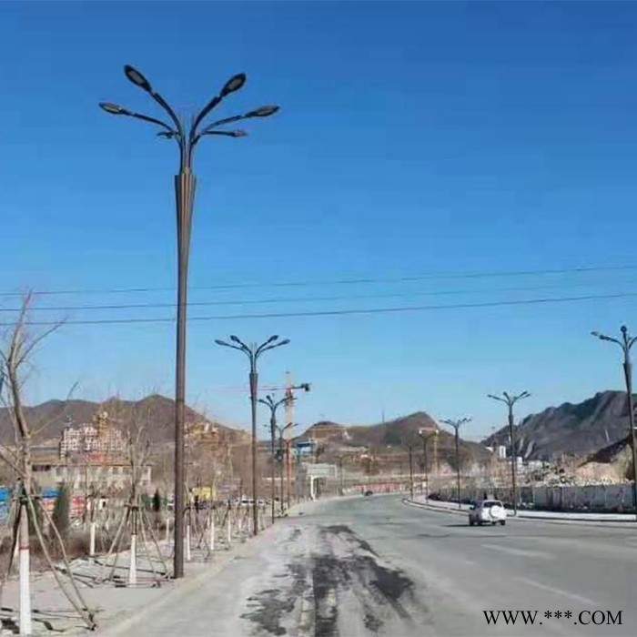 异形灯 景观灯异形灯LED户外灯道路灯单臂仿古路灯，异形路灯杆图5